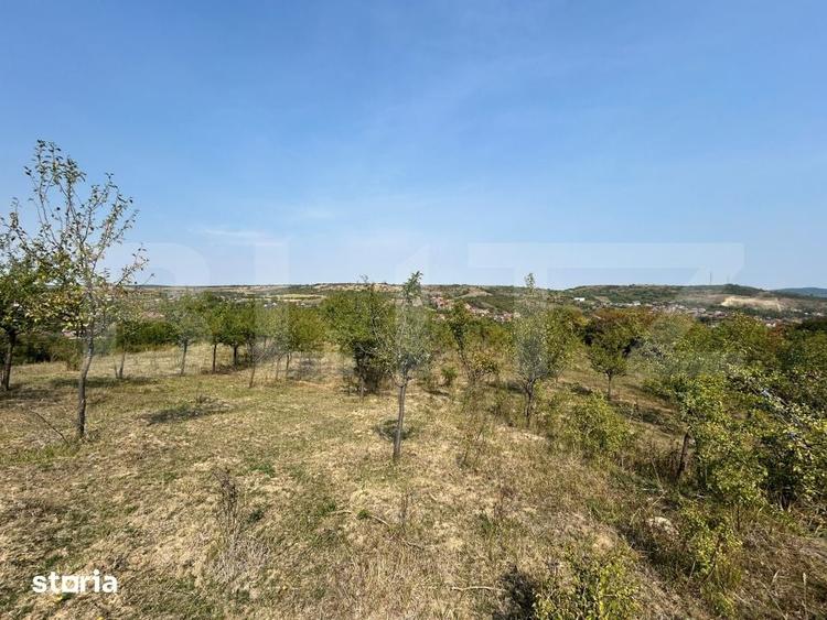 Teren de 5800 mp, în Central
