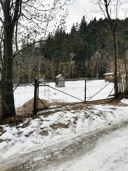 Teren Construcții extravilan de 3386 mp, în Borca