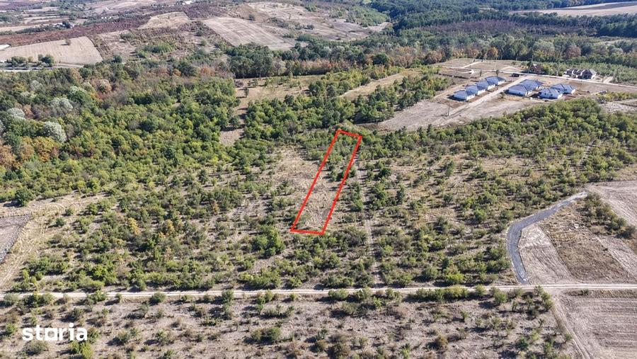 Teren de 2200 mp, în Paleu