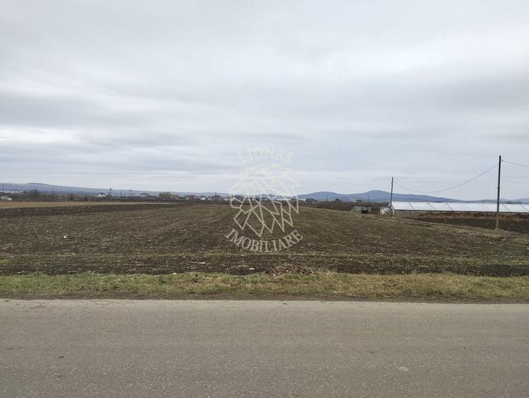 Teren Construcții intravilan de 2500 mp, în Jelna