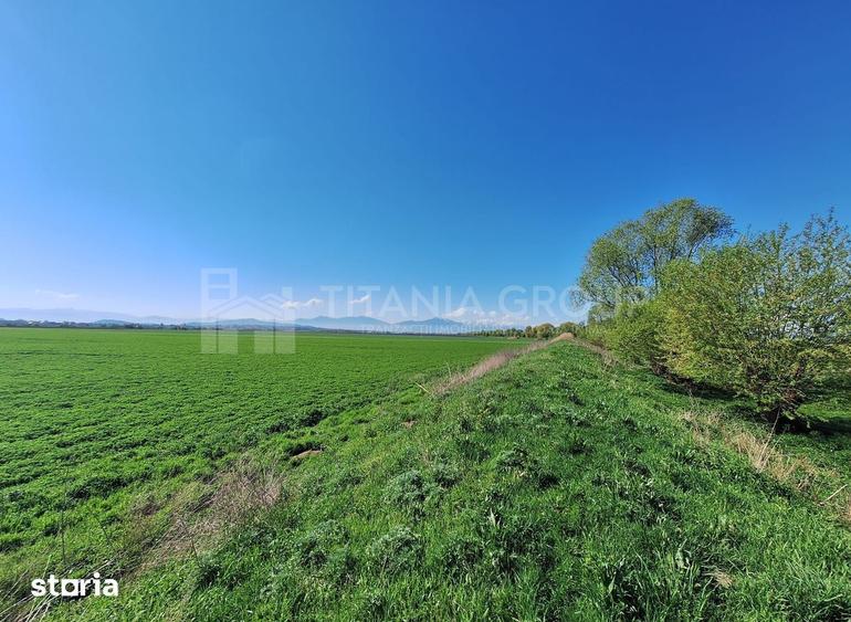 Teren de 8700 mp - extravilan - Bod, Brasov - 4