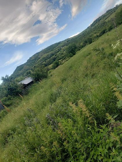 Vand teren intravilan zona de munte Chiojdu buzau - 1