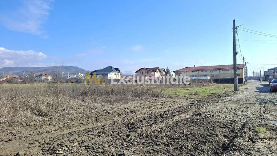 Teren de 3633 mp, în Ștefănești