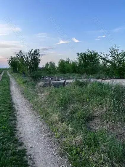 Teren de 2300 mp, în Ciolpani
