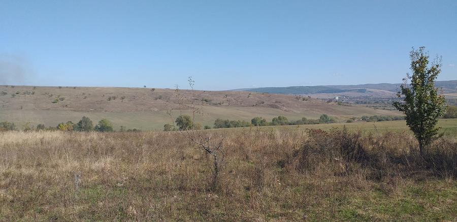 Teren agricol extravilan de 5000 mp, în Apața