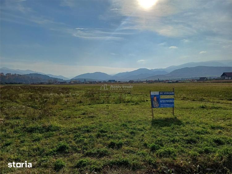 Teren de 10000 mp, în Tălmaciu