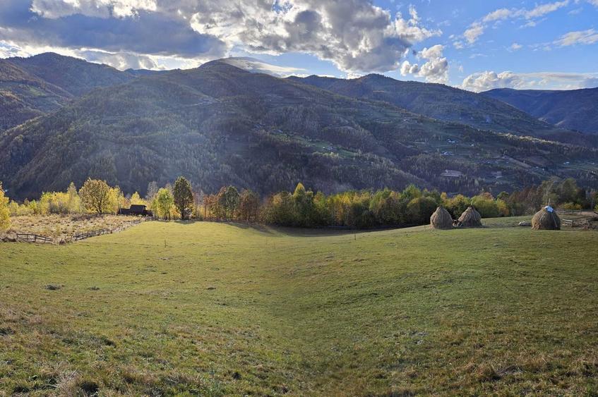 Teren de 10524 mp, în Plopi