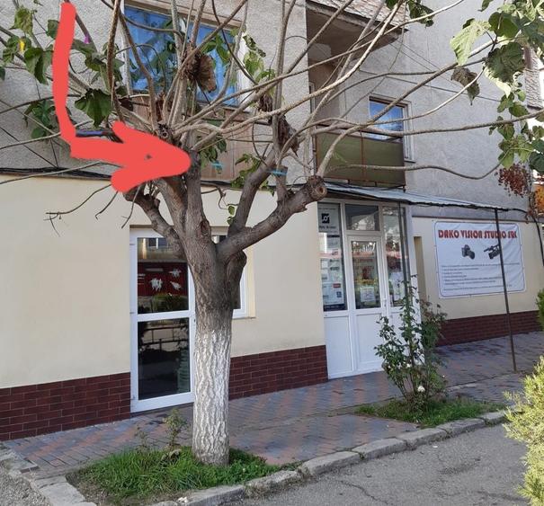 Apartament cu 3 camere în Ultracentral