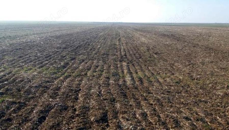 Teren agricol extravilan de 340 mp, în Sintea Mare