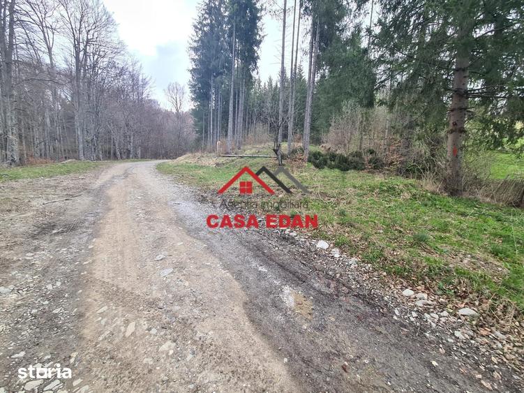Teren de 20500 mp, în Valea Doftanei