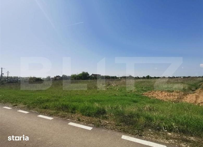 Teren de 4800 mp, în Nucet