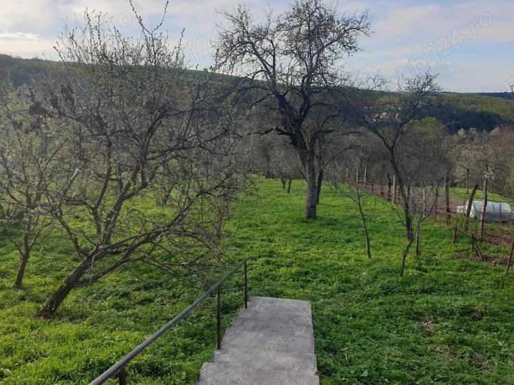 Casă cu 3 camere cu Teren 1850 Mp în Rod