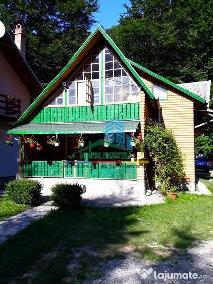 Spațiu comercial, de 450 mp, în Lepșa
