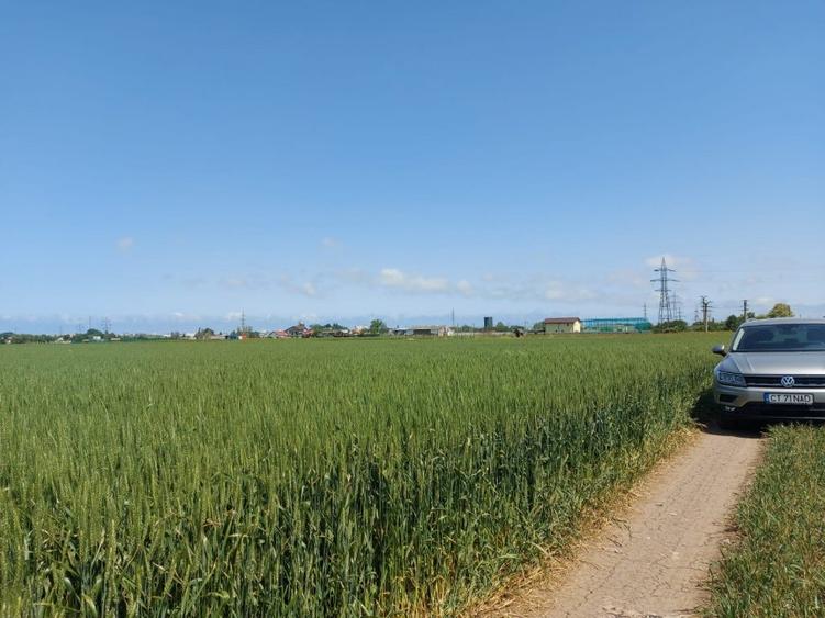 Teren Construcții intravilan de 6333 mp, în Aurel Vlaicu