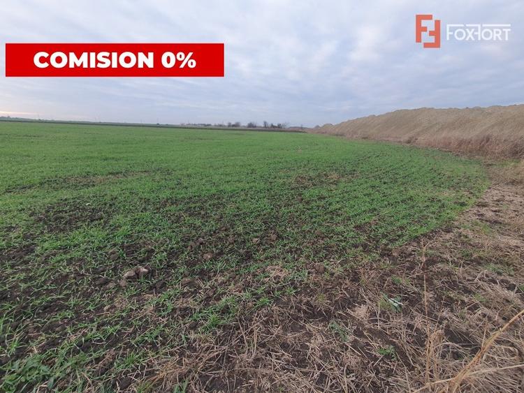 Teren agricol extravilan de 213257 mp, în Sud