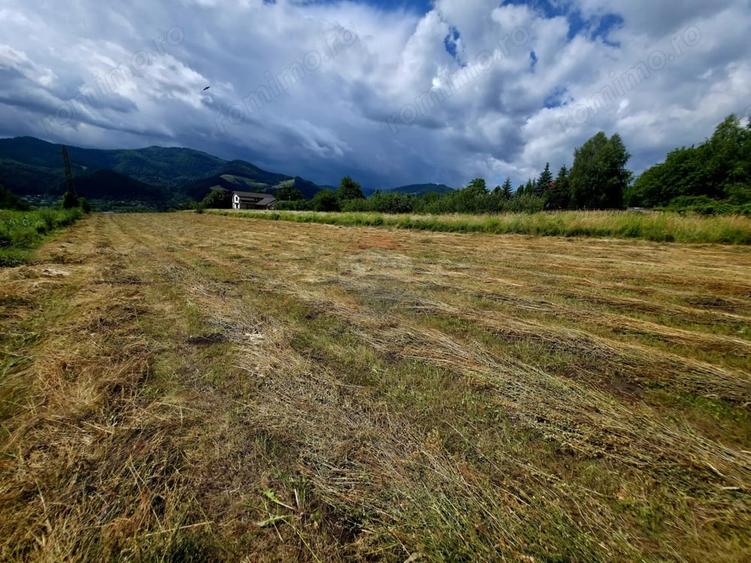 Teren de 600 mp, în Viișoara