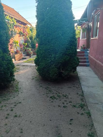 Casă cu 4 camere în Nadăș