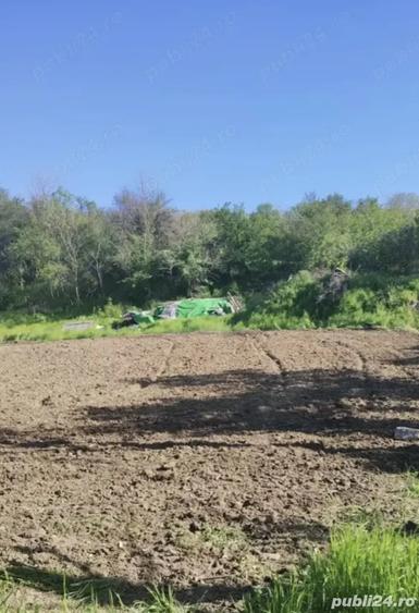 Teren de 1500 mp, în Stoenești