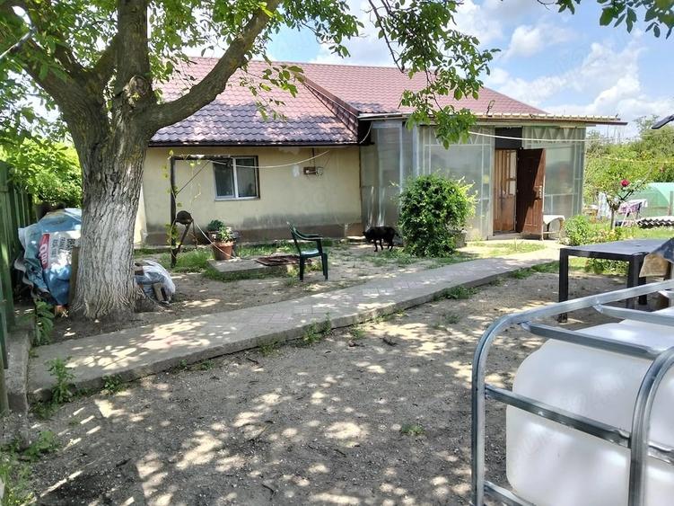 Casa curte ghimpati 1200 m - 2