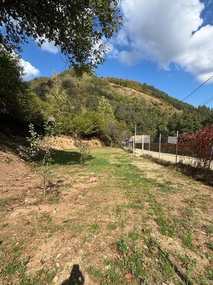 Teren Construcții intravilan de 800 mp, în Râu Sadului
