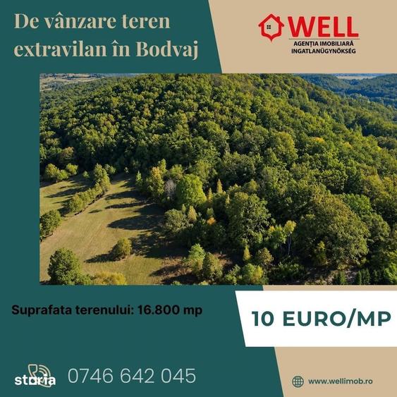 Teren de 16800 mp, în Bățani