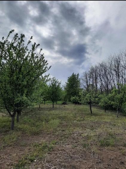 Teren de 2200 mp, în Romos