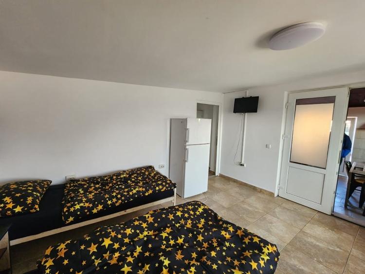 Casă individuală cu 5 camere cu Canalizare în Sânandrei