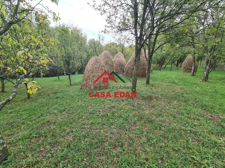 Teren Construcții intravilan de 5991 mp, în Șotrile