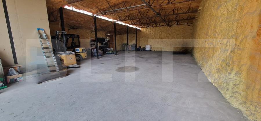 Spațiu industrial, de 254 mp, în Brestei