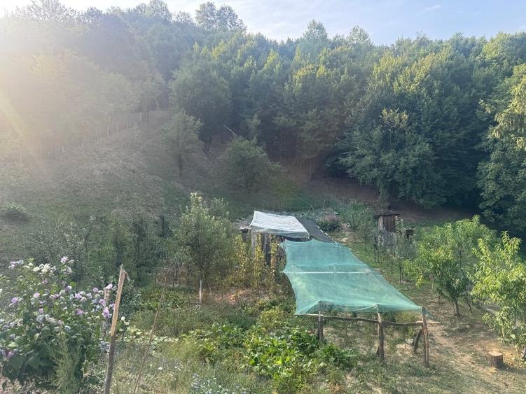 Vând casă mobilată  în zona turistică - 8