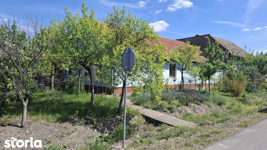 Casă cu Teren 670 Mp în Central