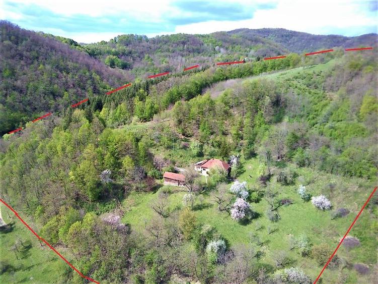Teren Construcții intravilan de 69237 mp, în Crișcior
