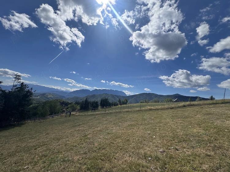 Teren de 15733 mp, în Poiana Mărului