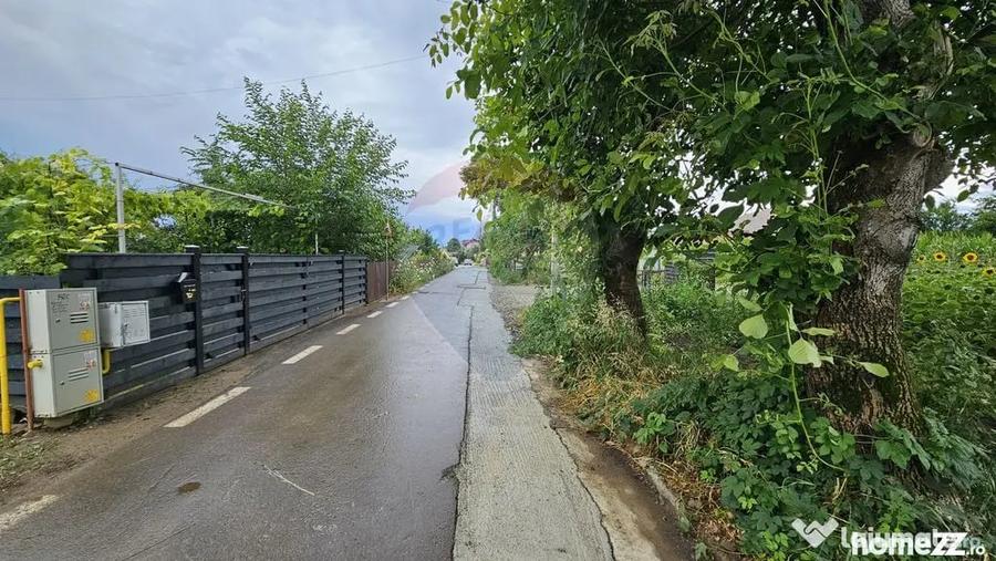 Teren în Lisaura