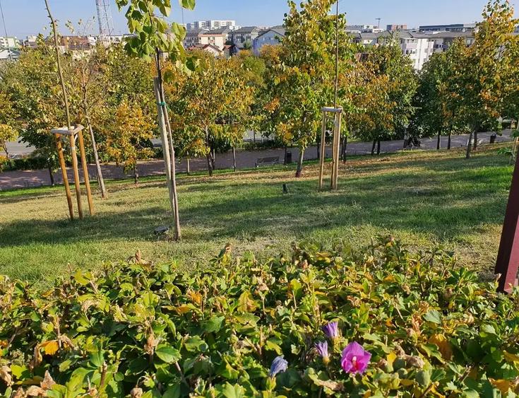 Apartament cu 2 camere decomandat în Titan