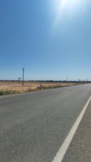 Teren agricol extravilan de 10104 mp, în Odobești