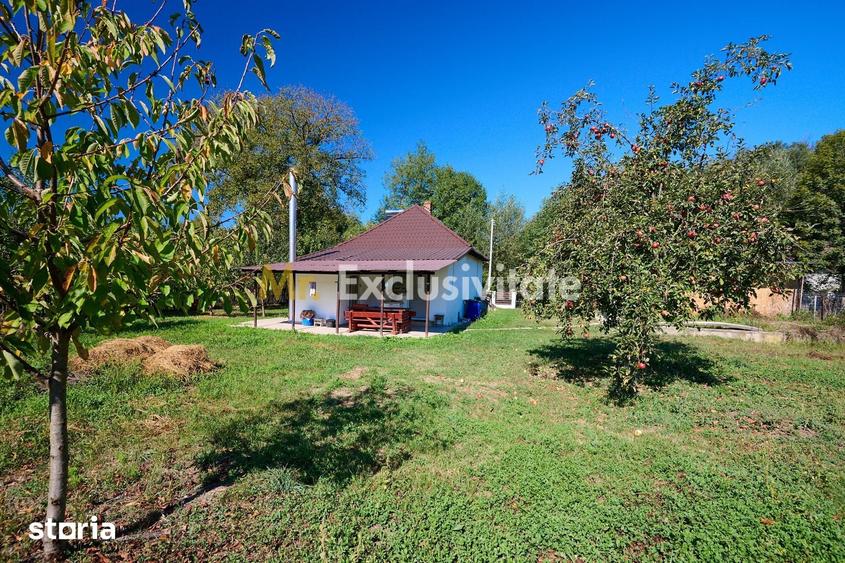 Casă cu 4 camere cu Teren 1586 Mp în Coșești