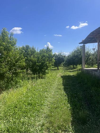 Casă cu 2 camere în Gemenea-Brătulești