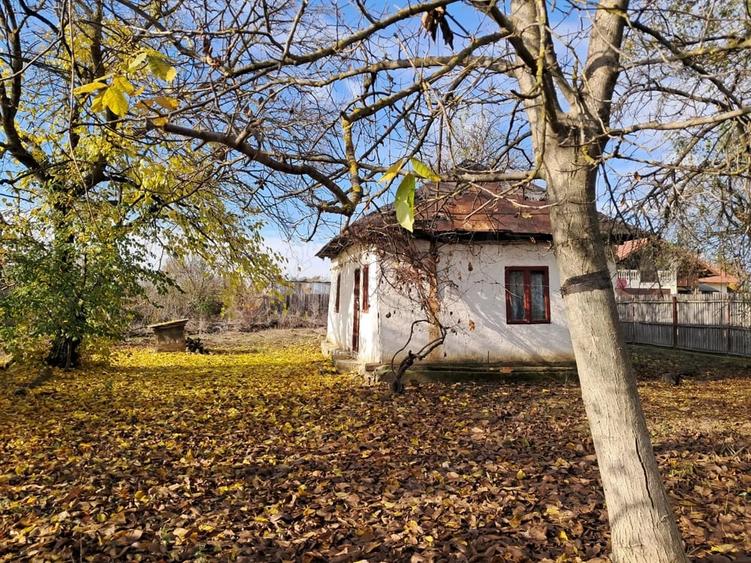 Teren de 3068 mp, în Priseaca