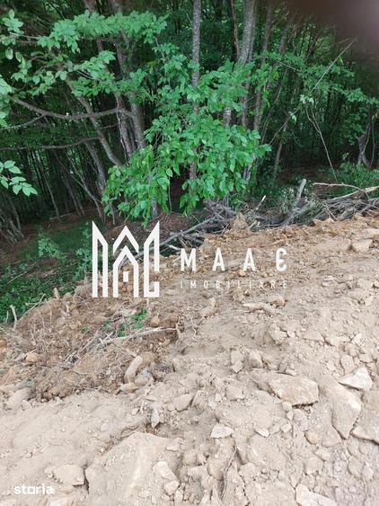 Teren de 5000 mp, în Bistra