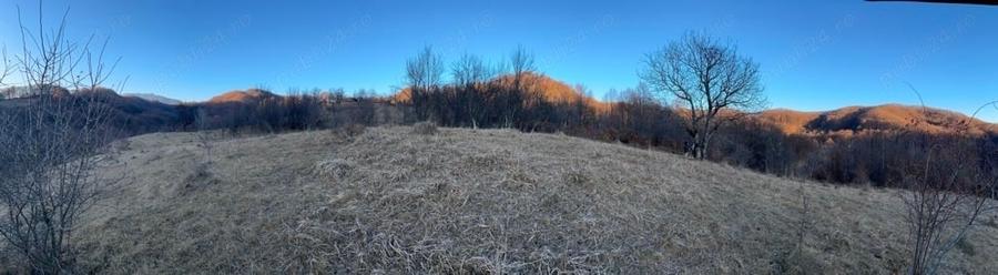 Teren de 4000 mp, în Gurguiata