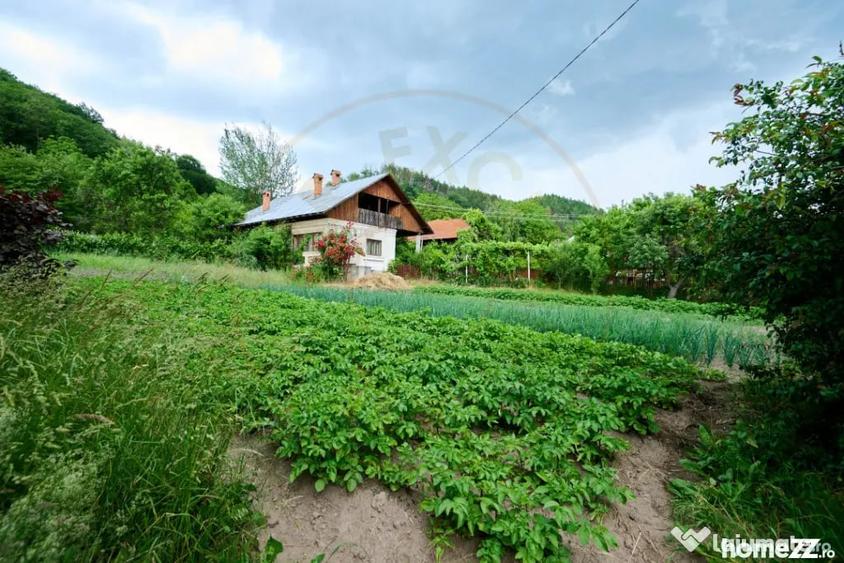 Casă cu 3 camere cu Teren 4696 Mp în Central