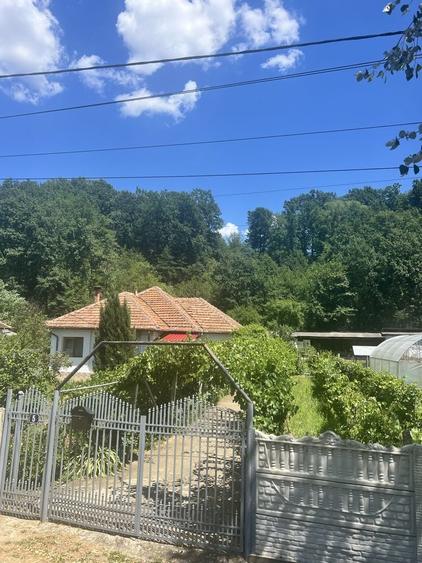 Casă cu 4 camere în Târgu Cărbunești