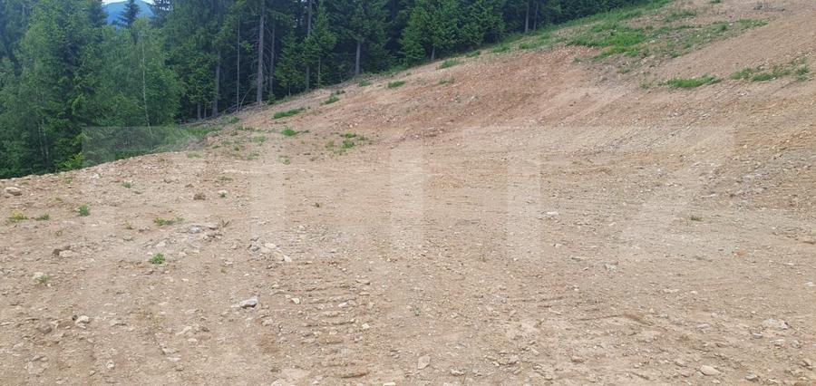 Teren Construcții extravilan de 19492 mp, în Vatra Dornei