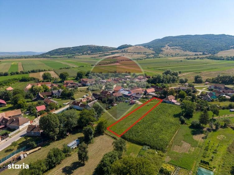 Spațiu comercial, în Comana