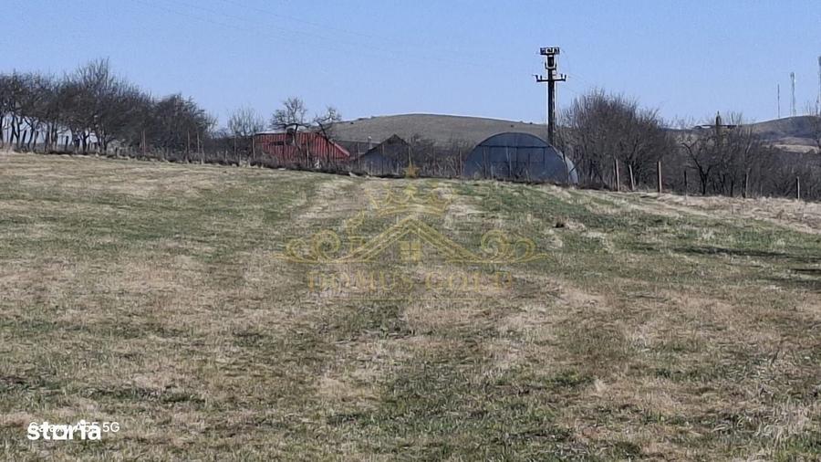 Casă cu 3 camere în Săliște