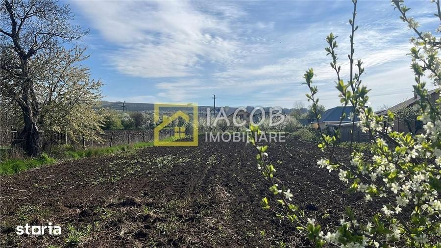 Teren de 2554 mp, în Prăjești