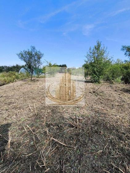 Teren intravilan 5800 mp Plopi – utilitati la poarta, drum asfaltat