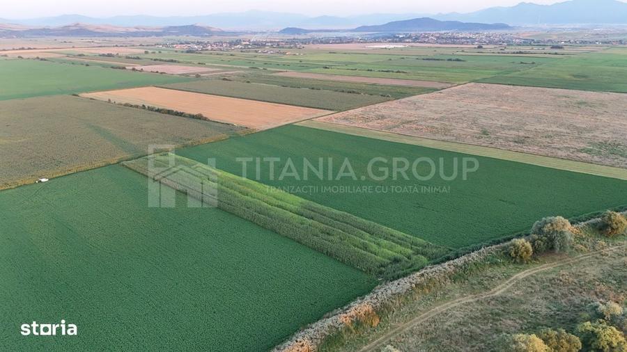 Teren extravilan, 8700 mp, pretabil agricultura sau investitie - Bod - 1