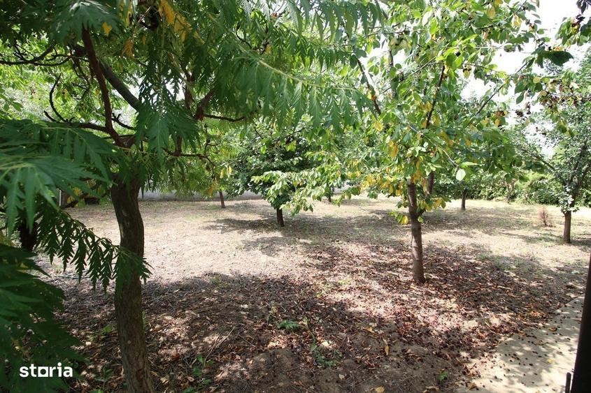 Casă cu 4 camere în Odaia Manolache